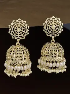 ATIBELLE Gold-Plated Pearls Beaded Dome Shaped Jhumakas