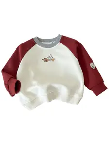 StyleCast x Revolte  Pack Of 3 Girls Colourblocked Pullover Cotton Sweatshirt