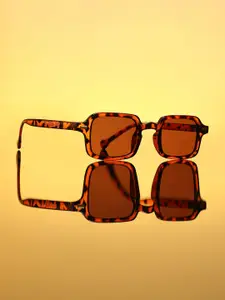 HAUTE SAUCE by  Campus Sutra Women Brown Sunglasses