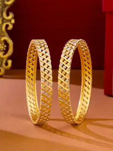 NVR Women Set Of 2 Gold Plated Traditional Bangles