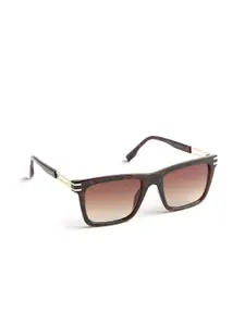 OPIUM Men Brown Demi Wayfarer UV Protection Plastic Sunglasses OP-10258-C01-55