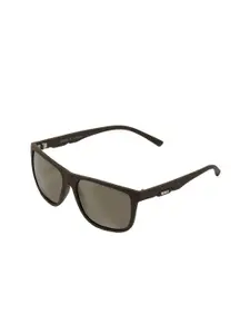 ENRICO Men   Sunglasses