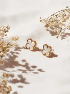 SALTY Pack of 2 Women Champagne Wishes Studs