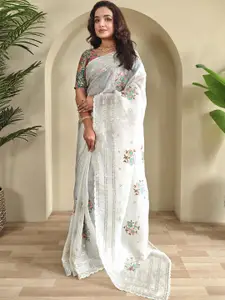 DEVATITHI Women Ethnic Motifs Sequinned Organza Saree