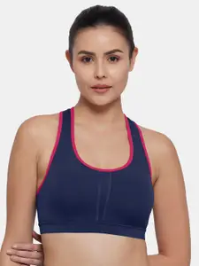 Amante Blue & Pink Non Padded Sports Bra