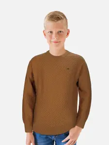 Gini and Jony Boys Brown Self Design Sweatshirt