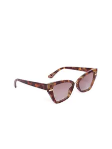 ALDO Women Brown Lens & Brown Cateye Sunglasses