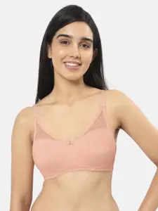 Amante Non Padded Lace Concealer T-Shirt Bra - BRA92201