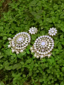 Adwitiya Collection Gold-Plated Mirror-Studded Classic Drop Earrings