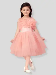 Aarika Girls Round Neck Fit and Flare Net Dress