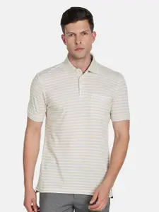 Arrow Men Striped Polo Collar Pure Cotton T-shirt
