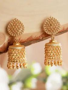 Jazz and Sizzle Gold-Plated Contemporary Jhumkas Earrings