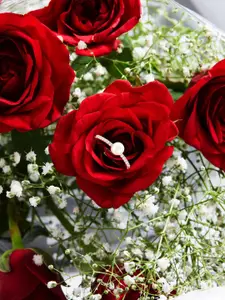 AMI Women Rose Gold-Plated Cubic Zirconia & Pearl -Studded Ring