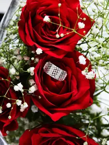 AMI Women Silver-Plated Cubic Zirconia Finger Ring