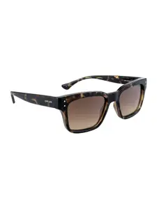 OPIUM Men Wayfarer Sunglasses with UV Protected Lens OP-10085-C02
