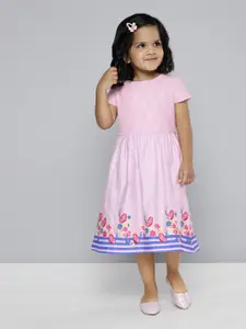 HERE&NOW Girls Floral Print Pure Cotton Fit & Flare Dress