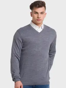 ColorPlus Men V-Neck Pullover Sweater