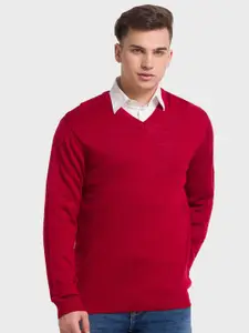 ColorPlus Men V-Neck Wool Pullover