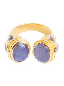 ahilya 925 Sterling Silver Gold-Plated Two Faced Baroque Moonstone Studded Finger Ring