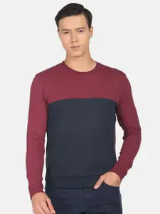 Arrow Sport Colourblocked Ribbed Pullover Sweatshirt