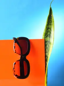 HAUTE SAUCE by  Campus Sutra Women Lens & Wayfarer Sunglasses With Polarised Lens