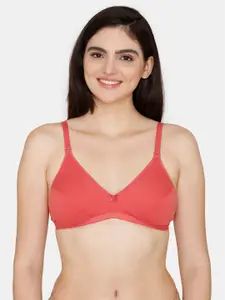 Zivame Non Padded Non-Wired Cut and Sew Everyday Bra