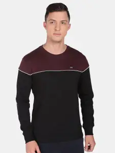 Arrow Sport Men Colourblocked Pullover Sweatshirt