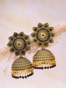 Crunchy Fashion Women Gold-Plated Dome Shaped Jhumkas Earrings