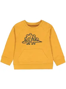mothercare Boys Graphic Printed Sweatshirt