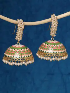 OOMPH Dome Shaped Jhumkas Earrings