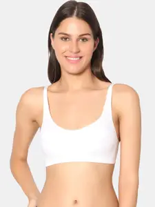Dazzle Lightly Padded & Non-Wired Everyday Bra