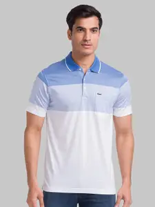 Park Avenue Colourblocked Polo Collar Pure Cotton Slim Fit T-shirt