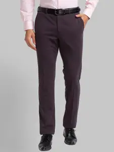 Raymond Men Slim-Fit Regular Trouser