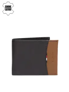 Tommy Hilfiger Men Black & Brown Colourblocked Two Fold Leather Wallet