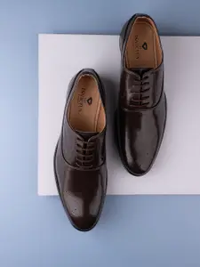 INVICTUS Men Perforated Formal Oxfords