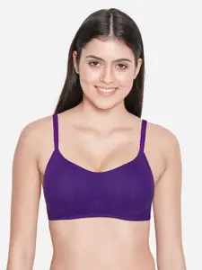 Susie Non Padded Cotton All Day Comfort Seamless Everyday Bra