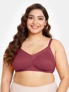 Rosaline by Zivame Non Padded Full Coverage All Day Comfort Everyday Bra