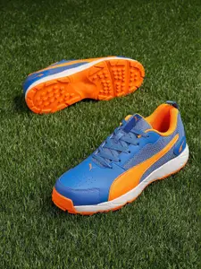 Puma Men Cricket High Run Sports Shoes