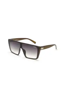 IRUS by IDEE Men Lens & Square Sunglasses with UV Protected Lens IRS1116C4SG