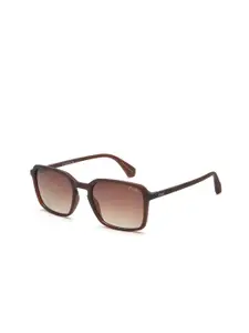 IRUS by IDEE Men Square Sunglasses with Polarised and UV Protected Lens IRS1190C2PSG