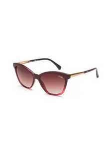 IRUS by IDEE Women Cateye Sunglasses with UV Protected Lens IRS1193C3SG