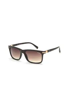 IRUS by IDEE Men Lens & Square Sunglasses With UV Protected Lens IRS1166C2SG