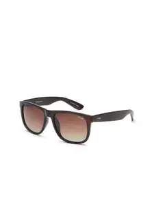 IRUS by IDEE Men Lens & Wayfarer Sunglasses With Polarised UV Protected Lens IRS1200C3PSG