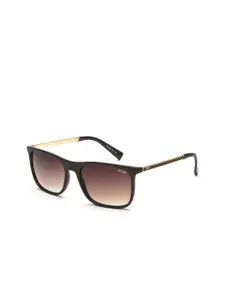 IRUS by IDEE Men Lens & Square Sunglasses With UV Protected Lens IRS1197C2SG