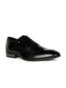 Hush Puppies Men Perforated Leather Formal Brogues