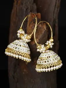 ANIKAS CREATION Gold-Plated Contemporary Jhumkas Earrings