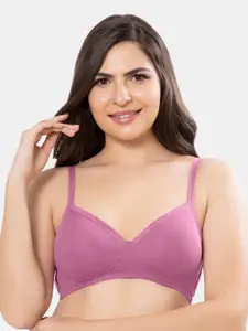 Amante Solid Padded Wirefree Cotton Casual T-shirt Bra - BRA10202