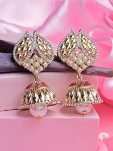 Estele Gold-Plated Dome Jhumkas Earrings