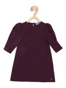 Peter England Girls Self Design Sparkly A-Line Dress