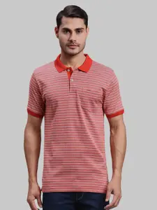 ColorPlus Striped Polo Collar Cotton T-shirt